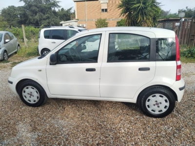 Fiat Panda 1.2 Active (7)
