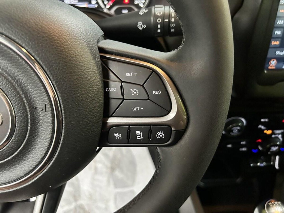 Jeep Renegade 1.6 mjt Limited 2wd 130cv (14)