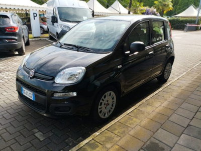Fiat Panda 1.0 firefly hybrid s&s 70cv 5p.ti usata
