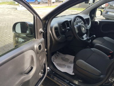Fiat Panda 1.0 firefly hybrid s&s 70cv 5p.ti (10)