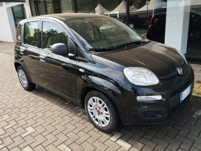 Fiat Panda 1.0 firefly hybrid s&s 70cv 5p.ti (2)
