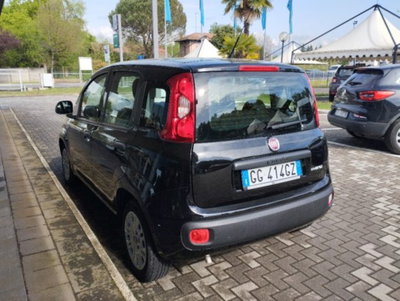 Fiat Panda 1.0 firefly hybrid s&s 70cv 5p.ti (4)