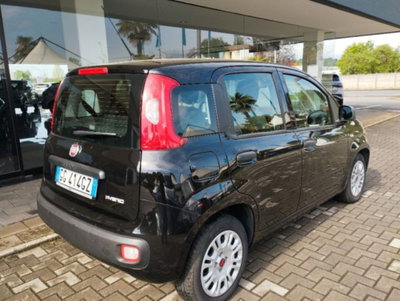 Fiat Panda 1.0 firefly hybrid s&s 70cv 5p.ti (5)