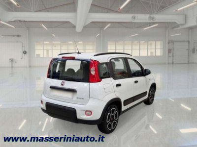 Fiat Panda 1.0 firefly hybrid s&s 70cv 5p.ti (2)