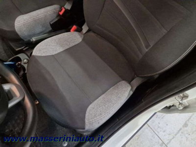 Fiat Panda 1.0 firefly hybrid s&s 70cv 5p.ti (7)