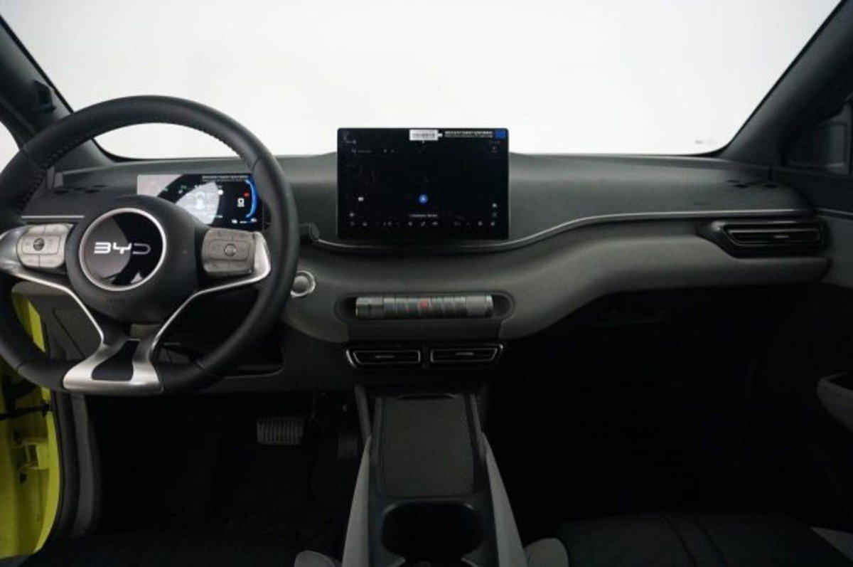Byd Dolphin Surf 43,2 kWh Boost (10)