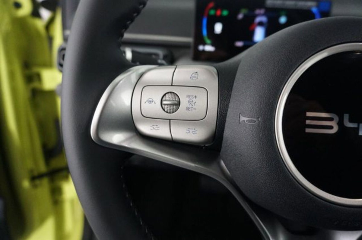 Byd Dolphin Surf 43,2 kWh Boost (20)