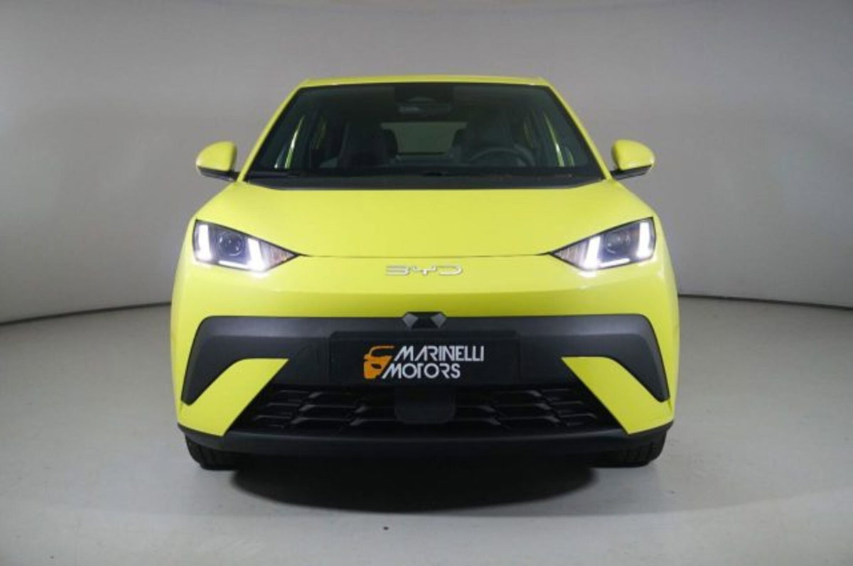 Byd Dolphin Surf 43,2 kWh Boost (4)