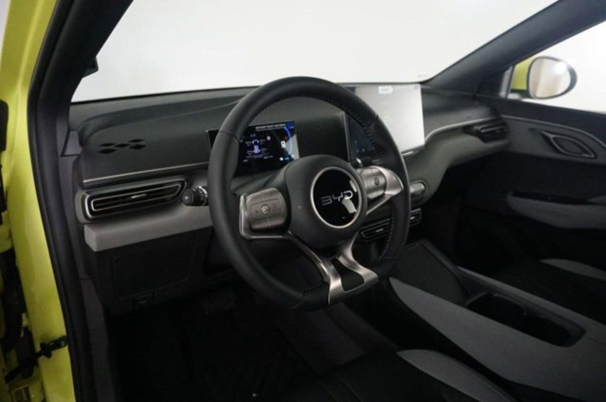 Byd Dolphin Surf 43,2 kWh Boost (8)