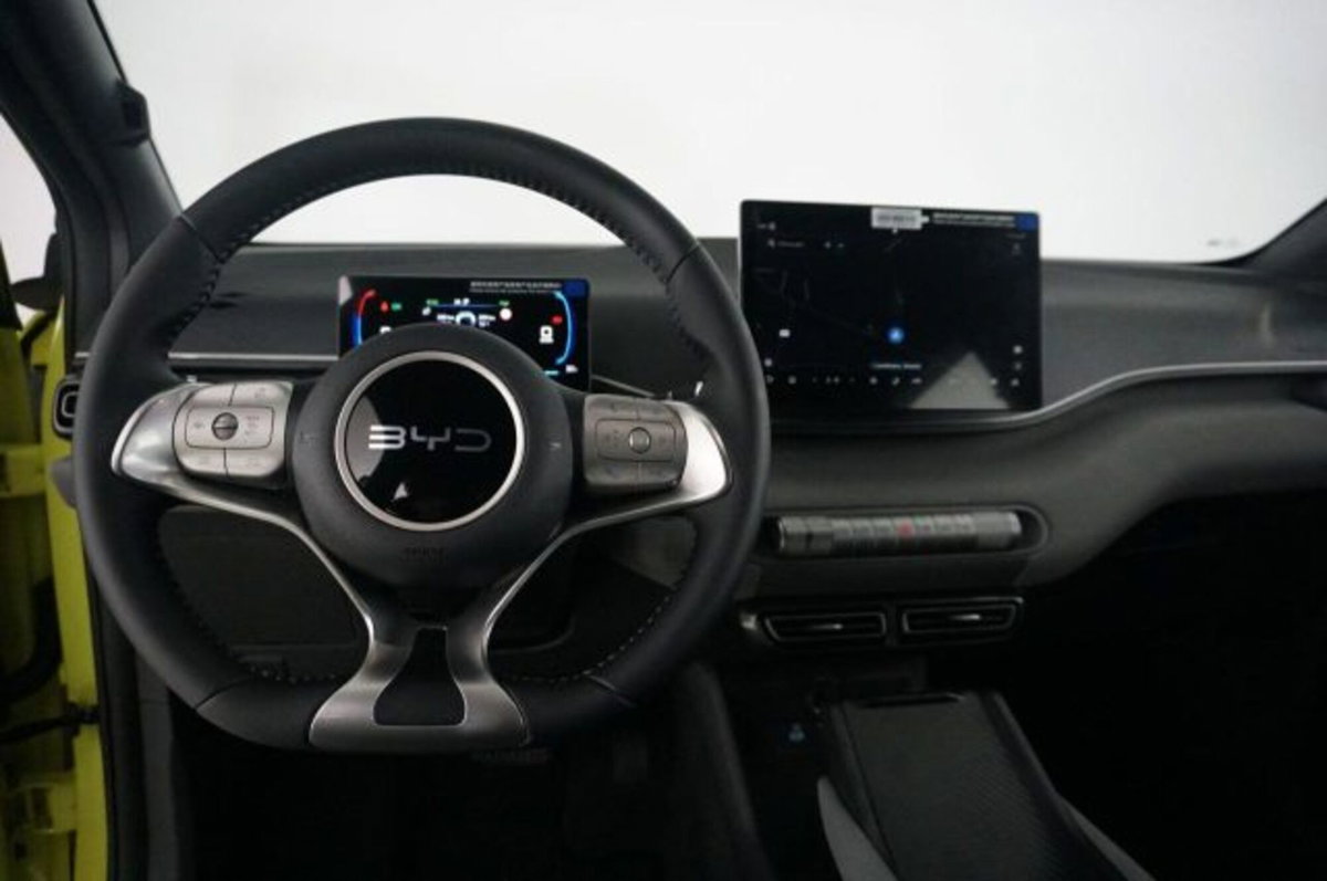 Byd Dolphin Surf 43,2 kWh Boost (9)