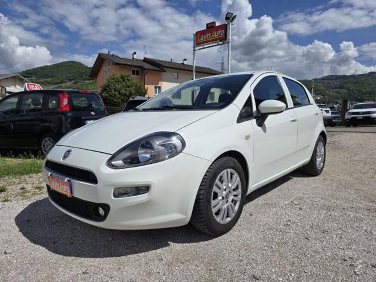 Fiat Punto 1.3 MJT II S&S 95 CV 5 porte Street (2)