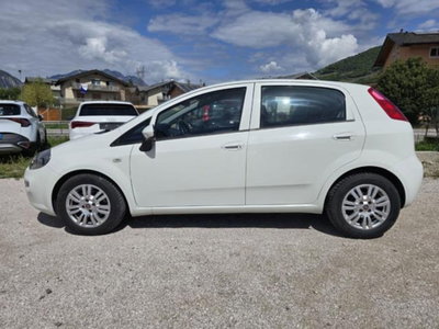 Fiat Punto 1.3 MJT II S&S 95 CV 5 porte Street (3)