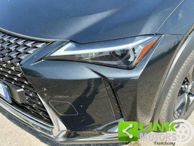 Lexus UX Hybrid 4WD F Sport (9)