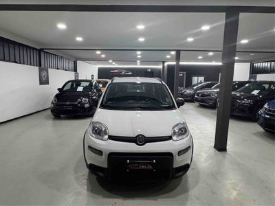 Fiat Panda 1.0 FireFly S&S Hybrid City Life usata