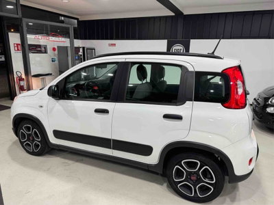 Fiat Panda 1.0 FireFly S&S Hybrid City Life (5)
