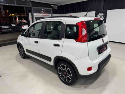 Fiat Panda 1.0 FireFly S&S Hybrid City Life (6)
