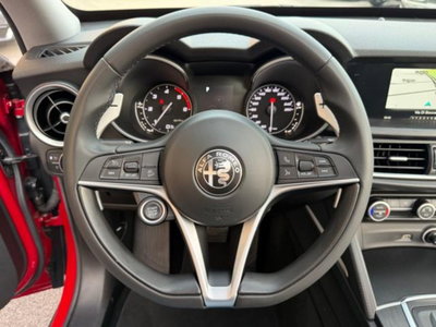 Alfa Romeo Stelvio Stelvio 2.2 Turbodiesel 210 CV AT8 Q4 Sport Edition (14)