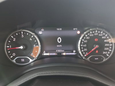 Jeep Renegade 1.6 Mjt 130 CV Limited (15)
