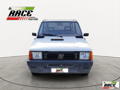Fiat Panda 1100 i.e. cat Young (2)