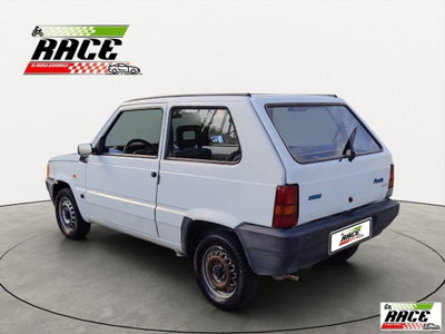 Fiat Panda 1100 i.e. cat Young (4)