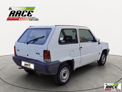 Fiat Panda 1100 i.e. cat Young (6)