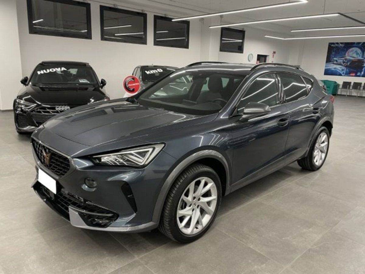 Cupra Formentor Formentor 2.0 tdi 4drive 150cv dsg (5)