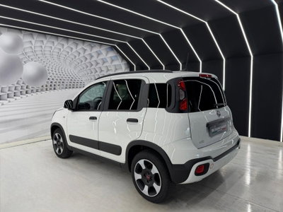 Fiat Panda Cross Cross 1.0 FireFly S&S Hybrid (4)