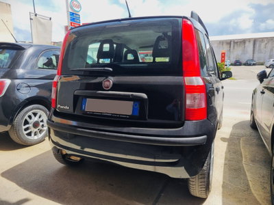 Fiat Panda 1.2 Dynamic (3)