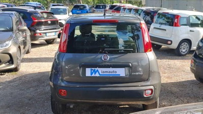 Fiat Panda 1.0 firefly hybrid s&s 70cv 5p.ti (10)