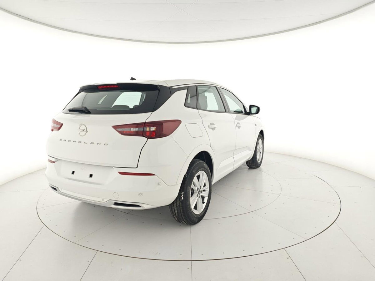 Opel Grandland X 1.5 diesel Ecotec Start&Stop Business Edition (6)