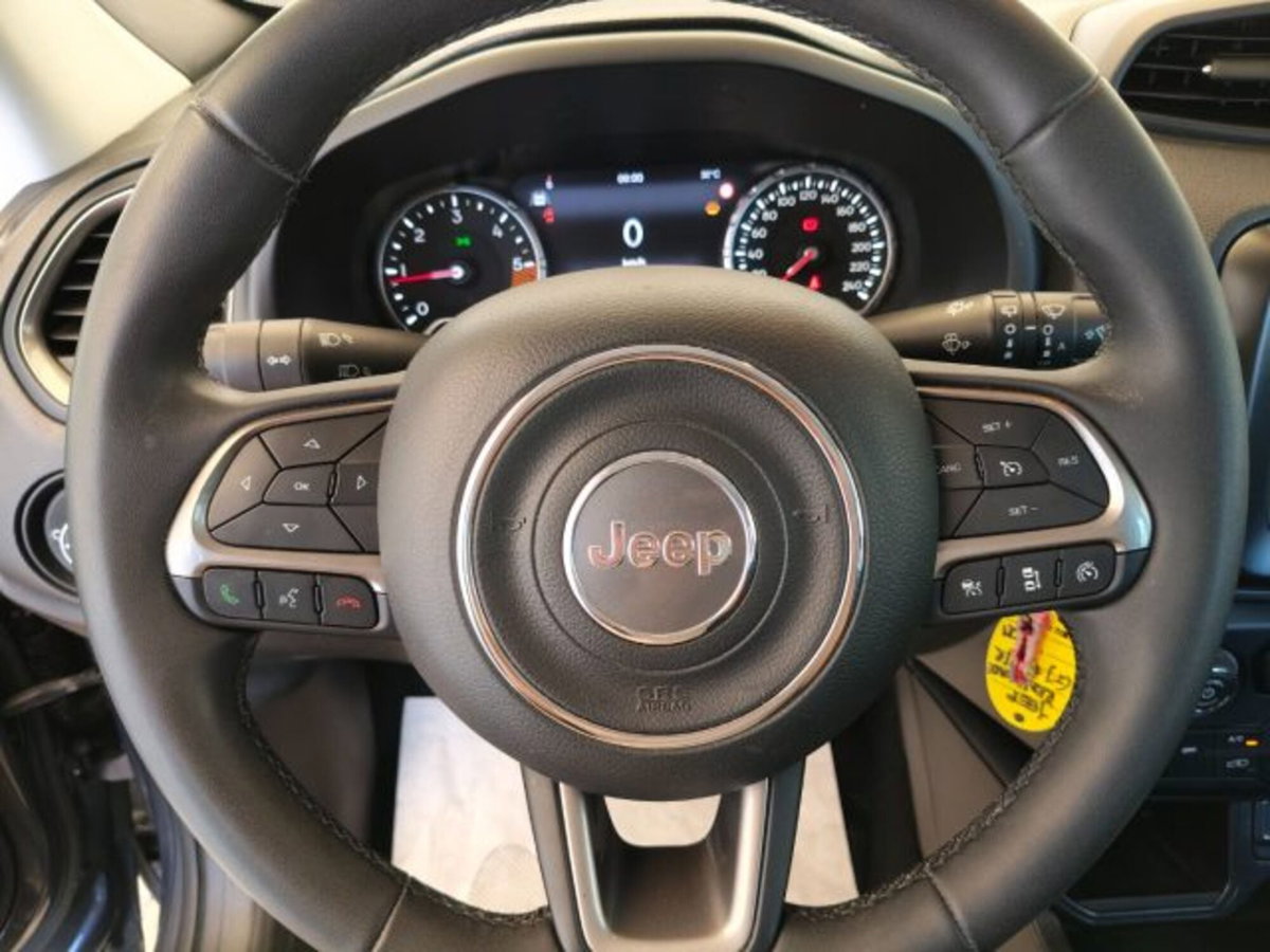 Jeep Renegade 1.6 Mjt 130 CV Limited (14)