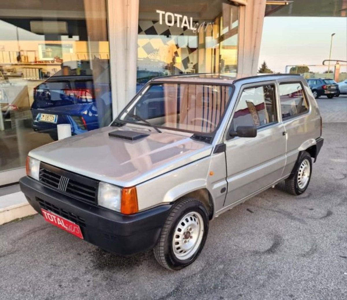 Fiat Panda 900 i.e. cat Young (3)