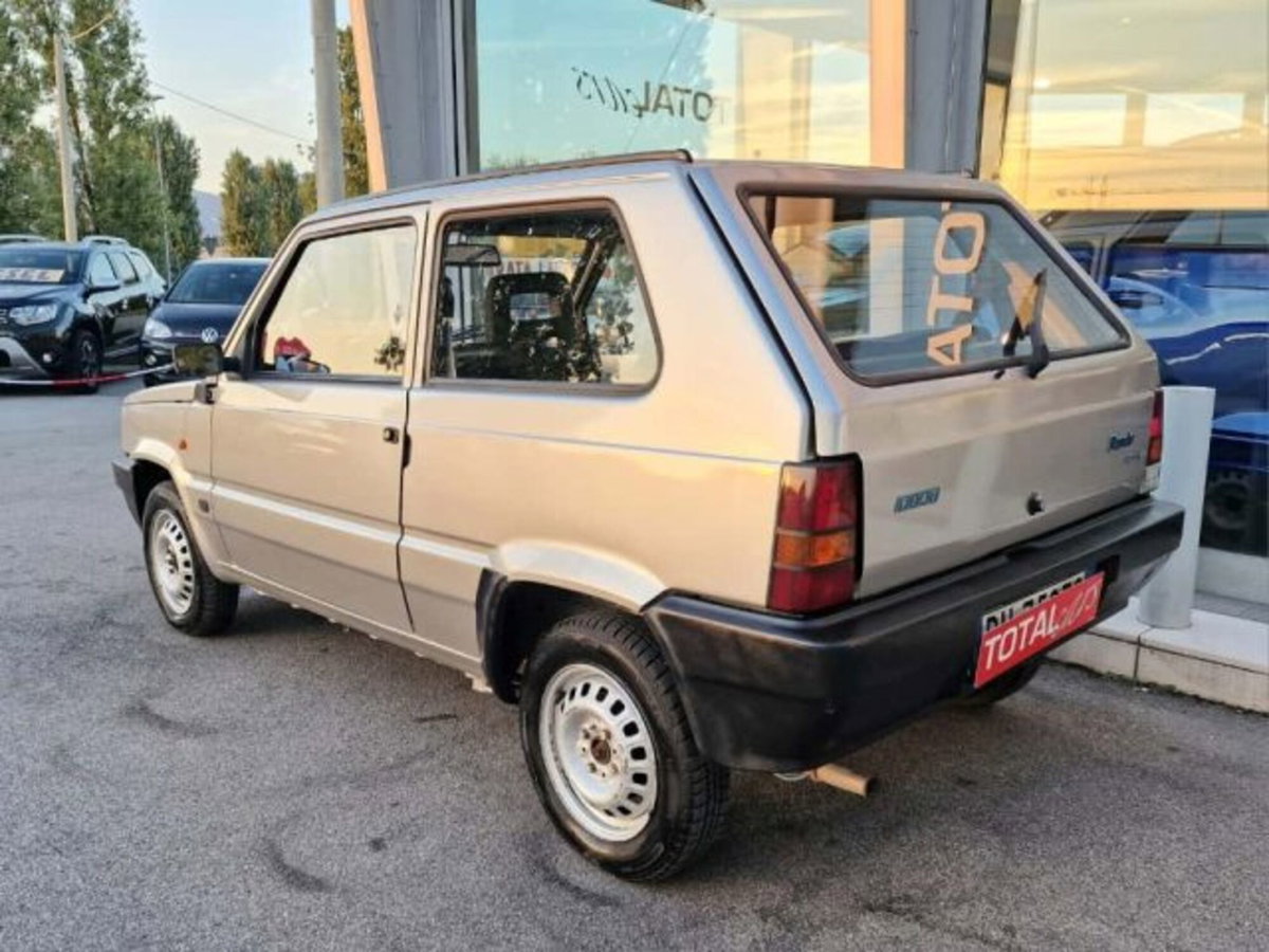 Fiat Panda 900 i.e. cat Young (6)
