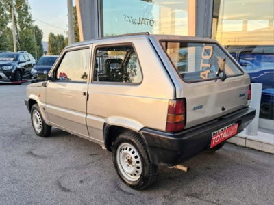 Fiat Panda 900 i.e. cat Young (6)