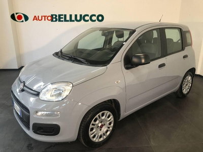 Fiat Panda 1.0 FireFly S&S Hybrid City Cross usata