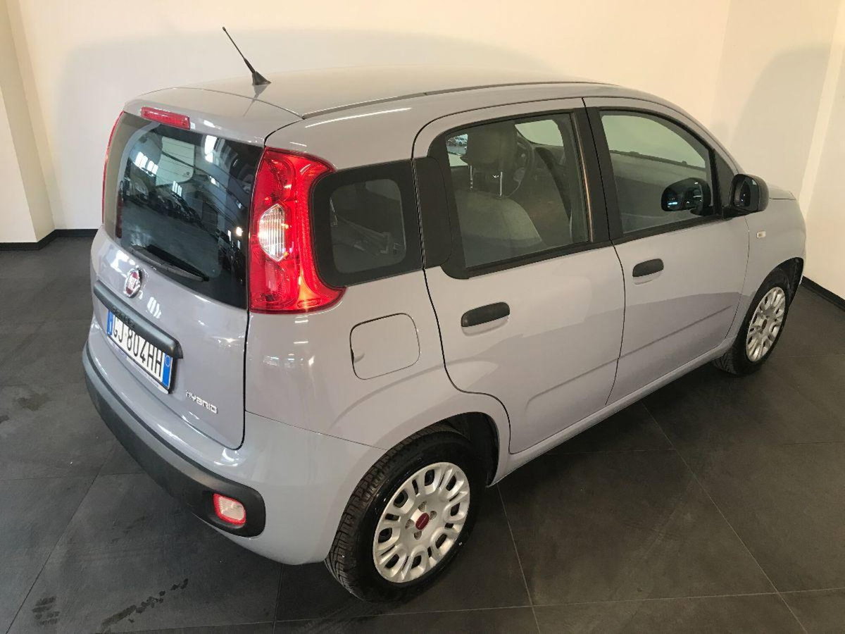 Fiat Panda Cross Cross 1.0 FireFly S&S Hybrid (4)