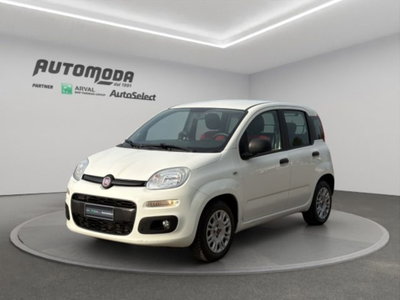 Fiat Panda van 1.0 hybrid Street 70cv 4p.ti serie 4 E6d usato
