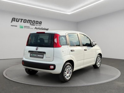 Fiat Panda van 1.0 hybrid Street 70cv 4p.ti serie 4 E6d (4)