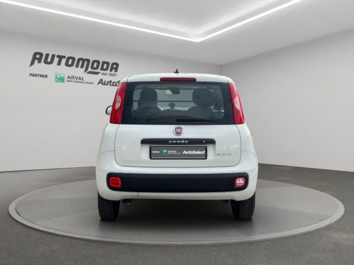 Fiat Panda van 1.0 hybrid Street 70cv 4p.ti serie 4 E6d (5)