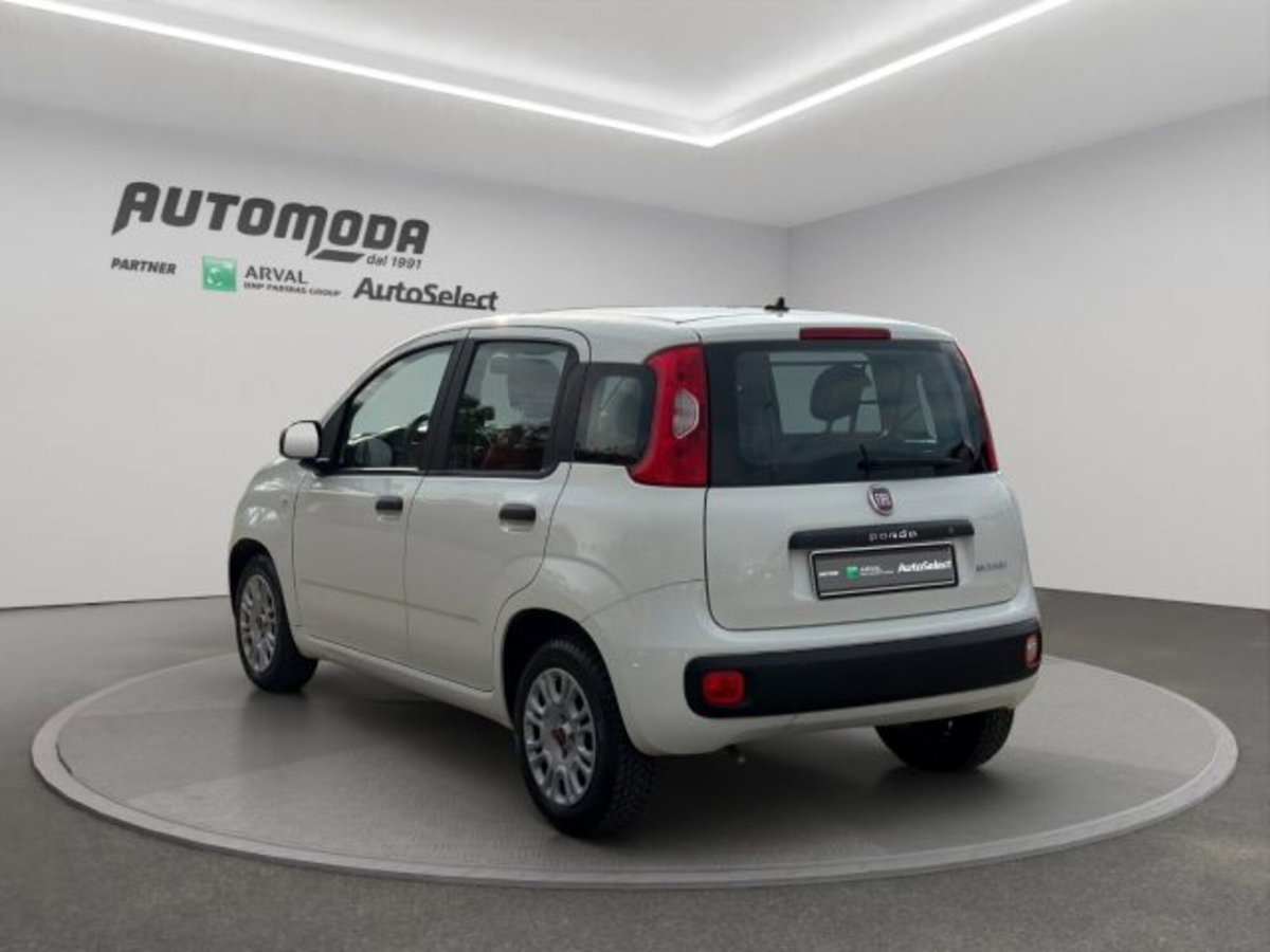 Fiat Panda van 1.0 hybrid Street 70cv 4p.ti serie 4 E6d (6)
