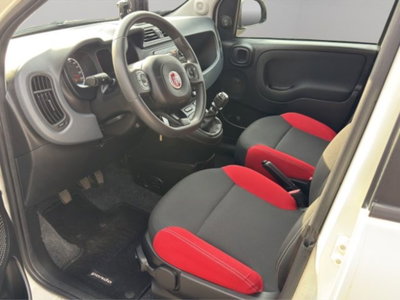 Fiat Panda van 1.0 hybrid Street 70cv 4p.ti serie 4 E6d (7)