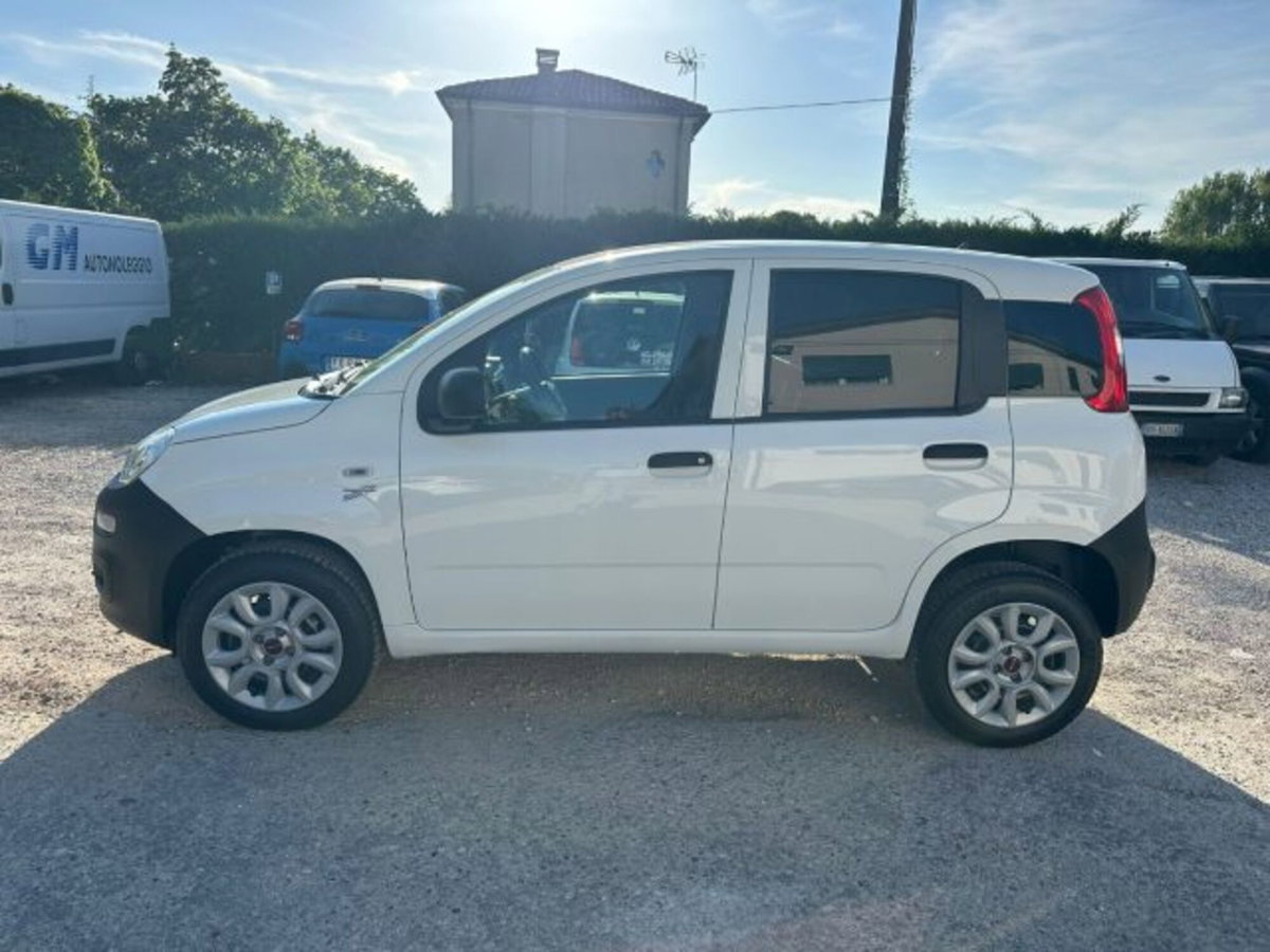 Fiat Panda 0.9 TwinAir Turbo S&S 4x4 Pop Van 2 posti (2)