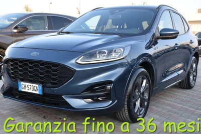 Ford Kuga 1.5 EcoBlue 120 CV aut. 2WD ST-Line X usata