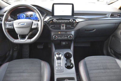 Ford Kuga 1.5 EcoBlue 120 CV aut. 2WD ST-Line X (8)