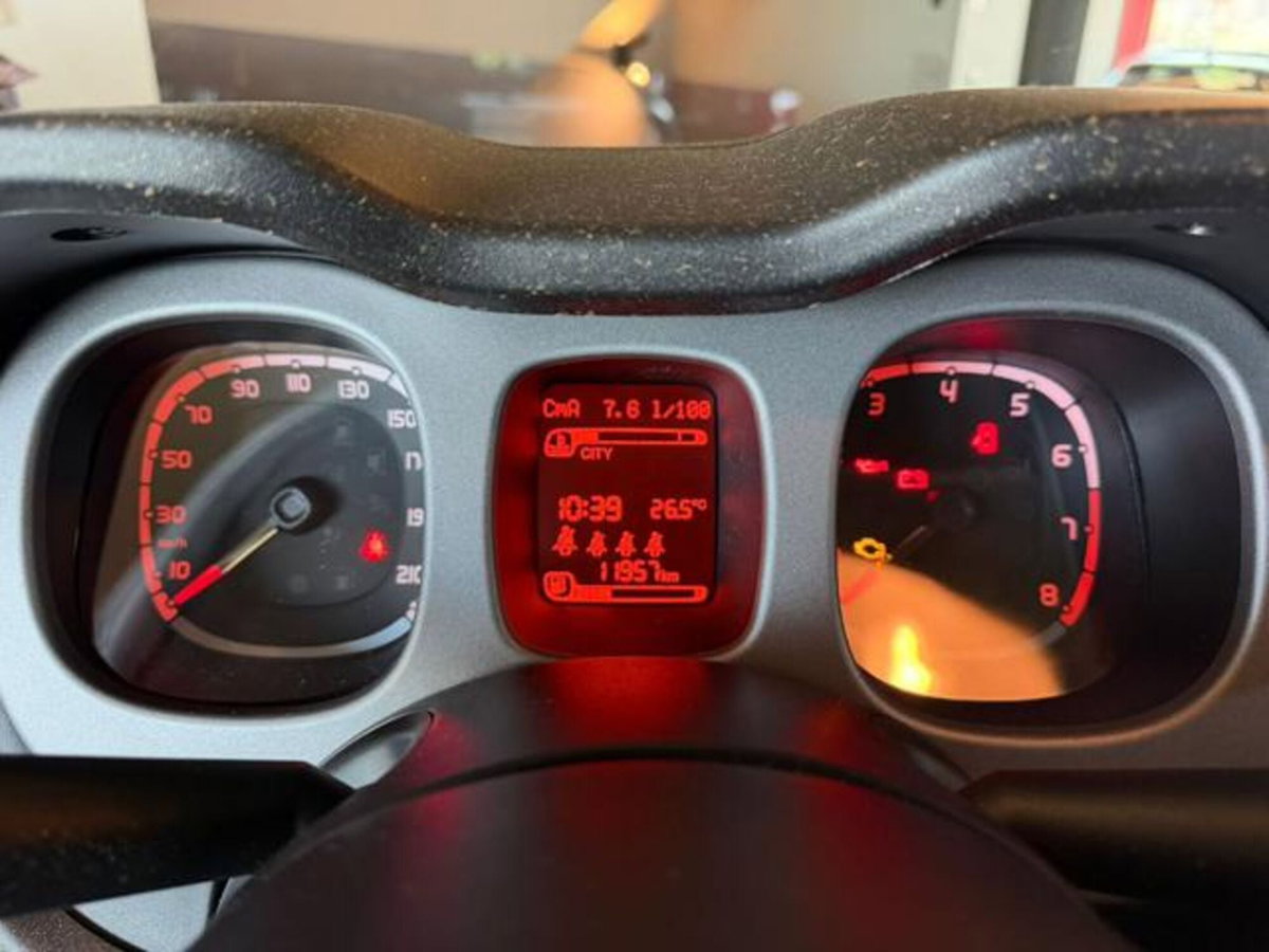 Fiat Panda Cross Cross 0.9 TwinAir Turbo S&S 4x4 (5)