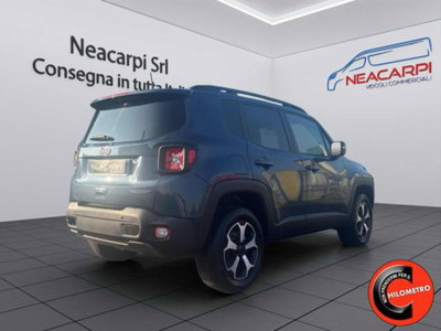 Jeep Renegade 1.3 t4 phev Trailhawk 4xe at6 (8)