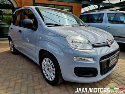 Fiat Panda 1.0 firefly hybrid s&s 70cv 5p.ti (2)