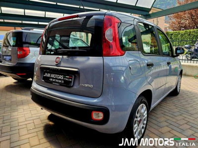 Fiat Panda 1.0 firefly hybrid s&s 70cv 5p.ti (4)