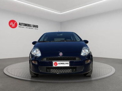 Fiat Punto 1.3 MJT II S&S 95 CV 5 porte Street (5)