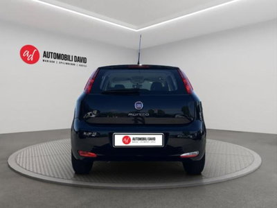 Fiat Punto 1.3 MJT II S&S 95 CV 5 porte Street (6)